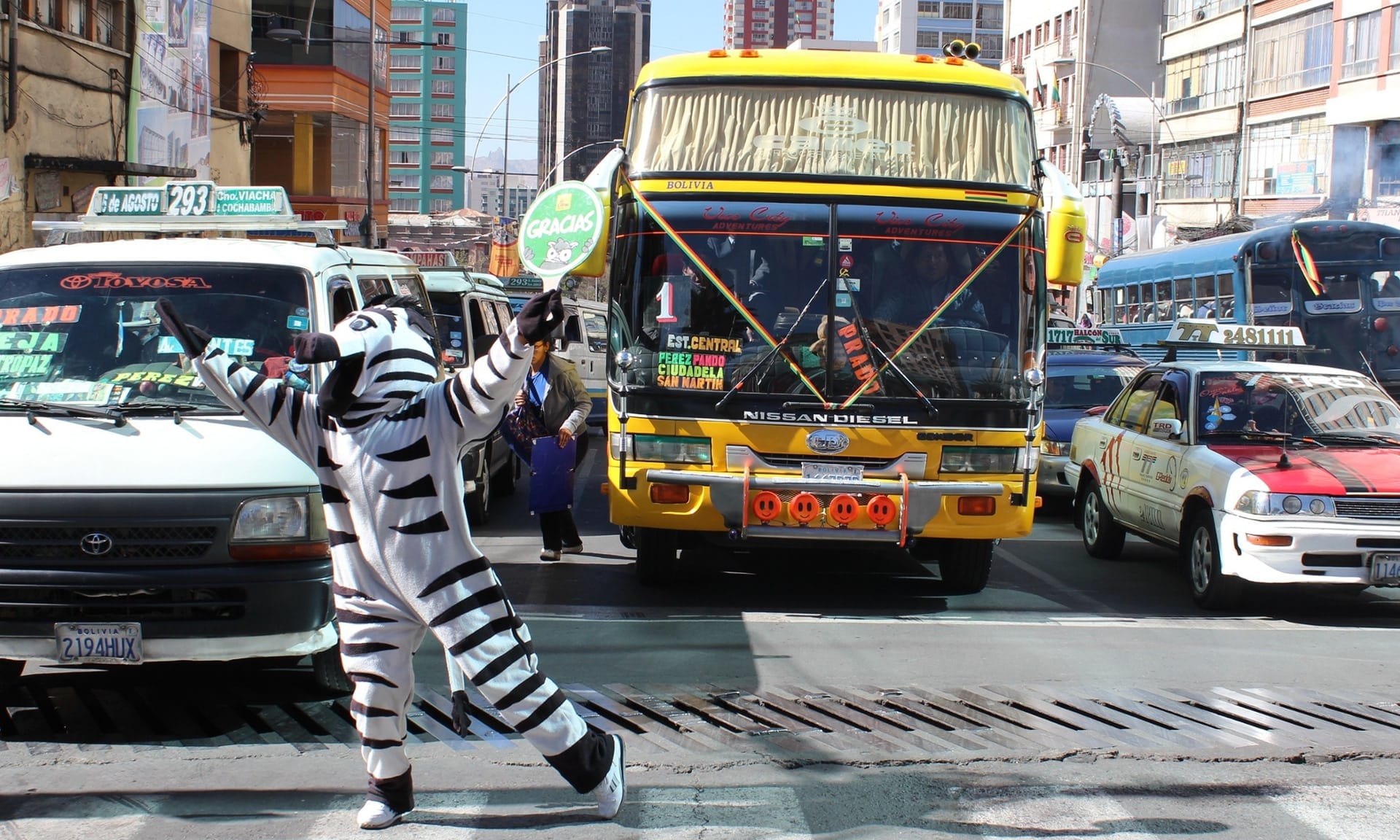 zebra trafic bolivia